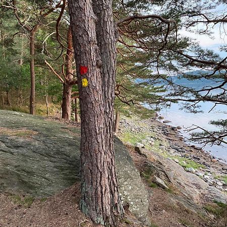 Cottage - Majviken ユシーレ エクステリア 写真